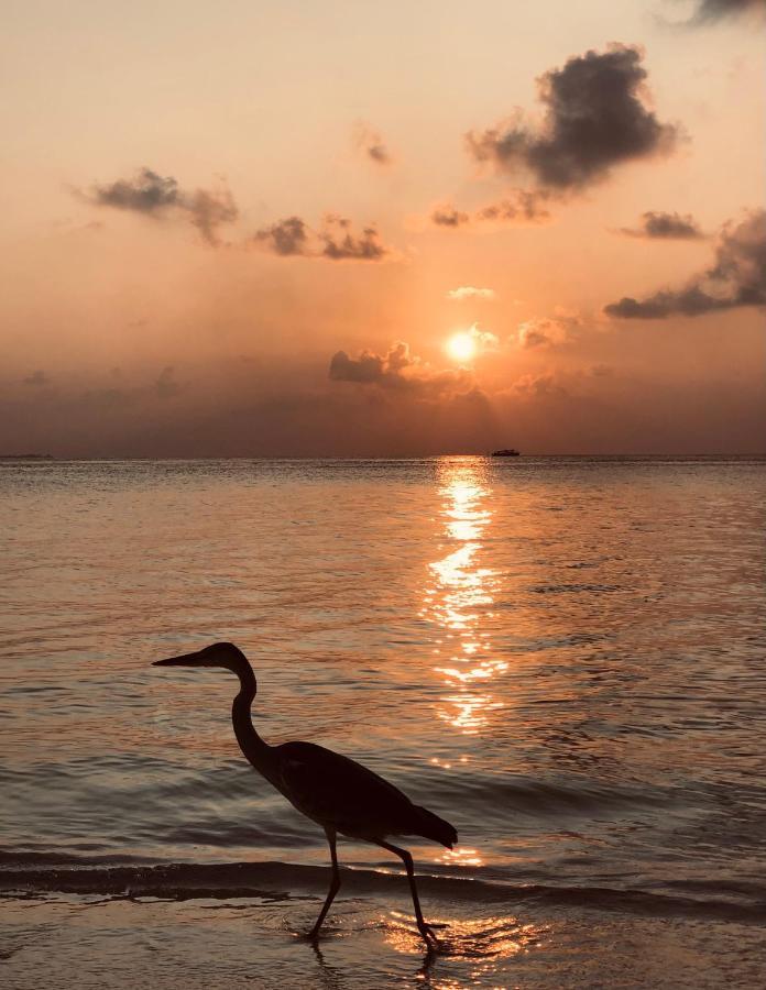 Hotel Aqua Sunset Gulhi Zewnętrze zdjęcie